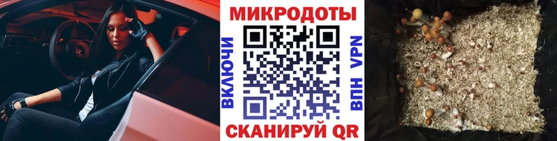Галлюциногенные грибы GOLDEN TEACHER  Купить где  Петров Вал 